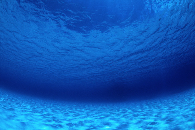 運気アップ トイレ風水 画像