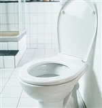 トイレ掃除 金運アップ