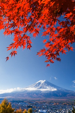 富士山 運気アップ画像