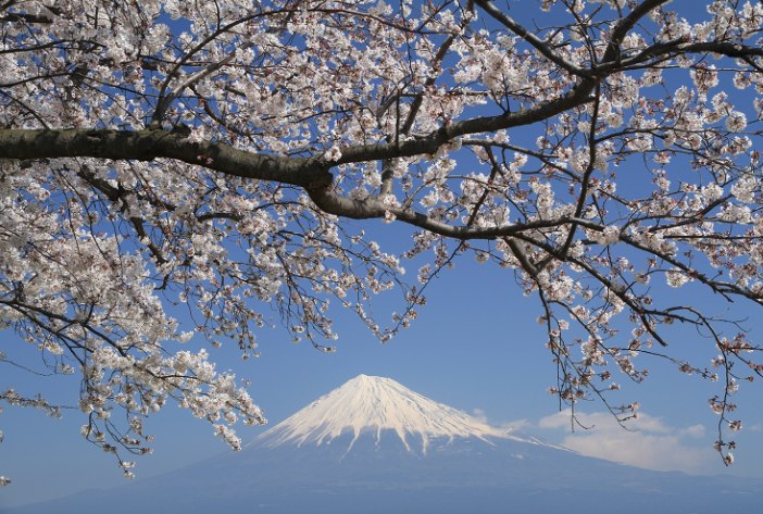 富士山,運気アップ,待ち受け画像