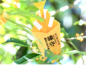 群馬,金運アップに効果がある神社