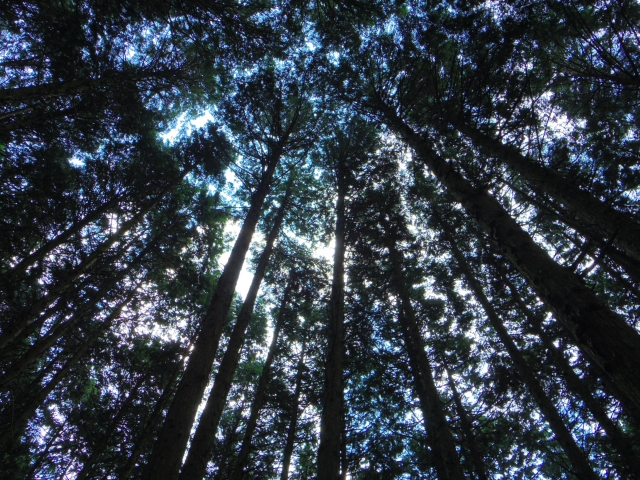 ���^�A�b�v,���@