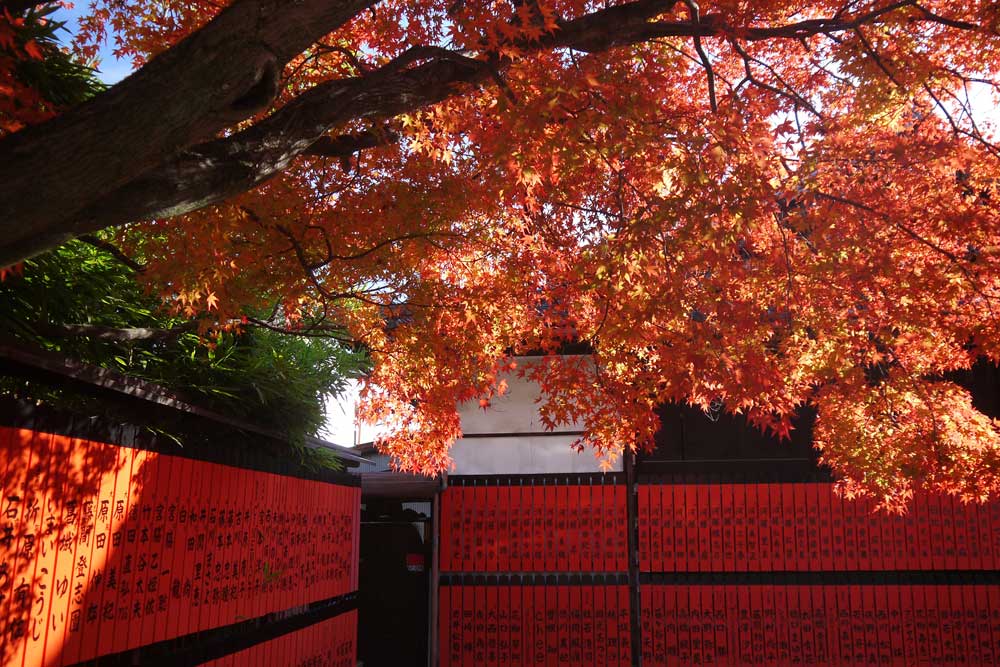 金運アップ 方法