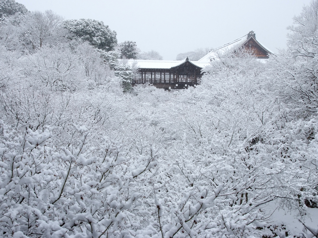 金運アップ 方法