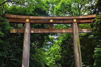 ���^�A�b�v ���@