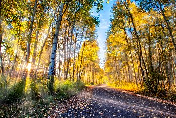 ���^�A�b�v