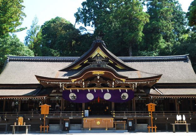 ���^�_��,�ޗ�