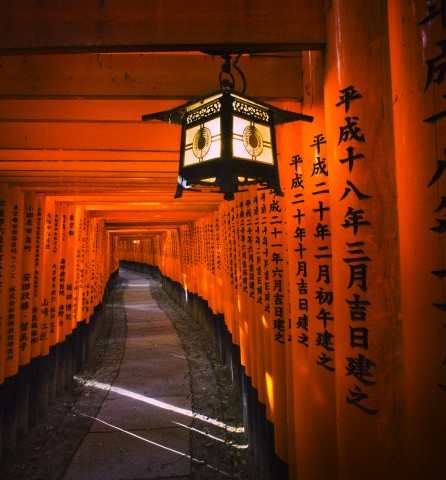 ���^�A�b�v ���@