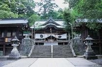 ���^�_�� �啪