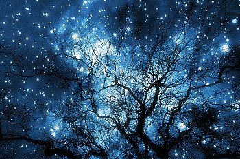 ���^�A�b�v ���@