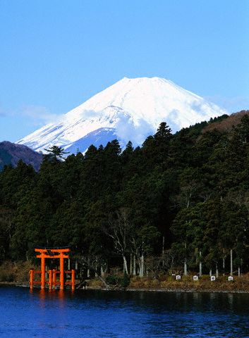 �󂭂��^�A�b�v �摜